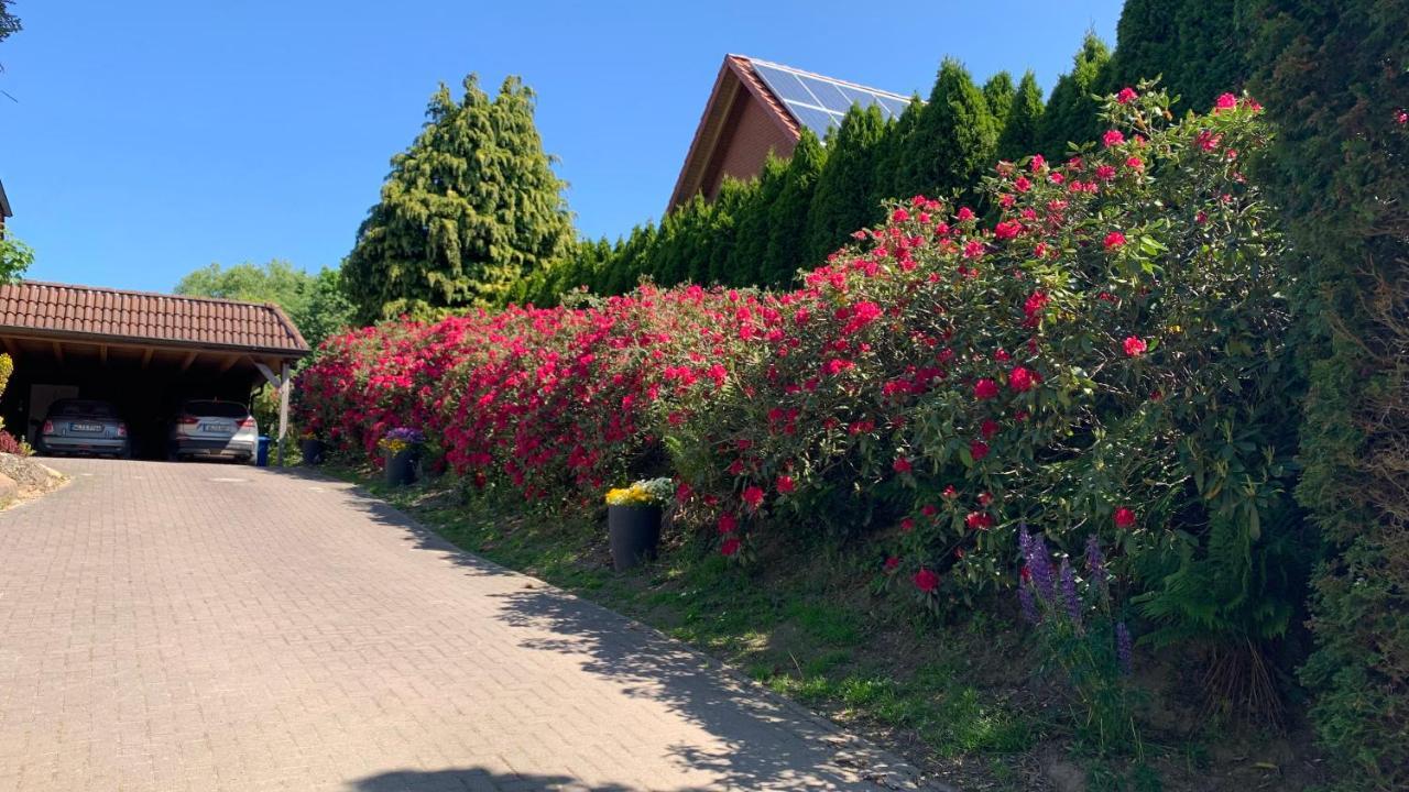 Ferienwohnung Schmidt Rosengarten  Exteriör bild
